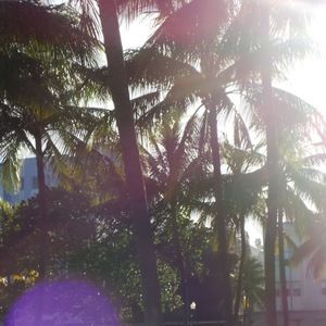 Meet your Posher, Kyleigh